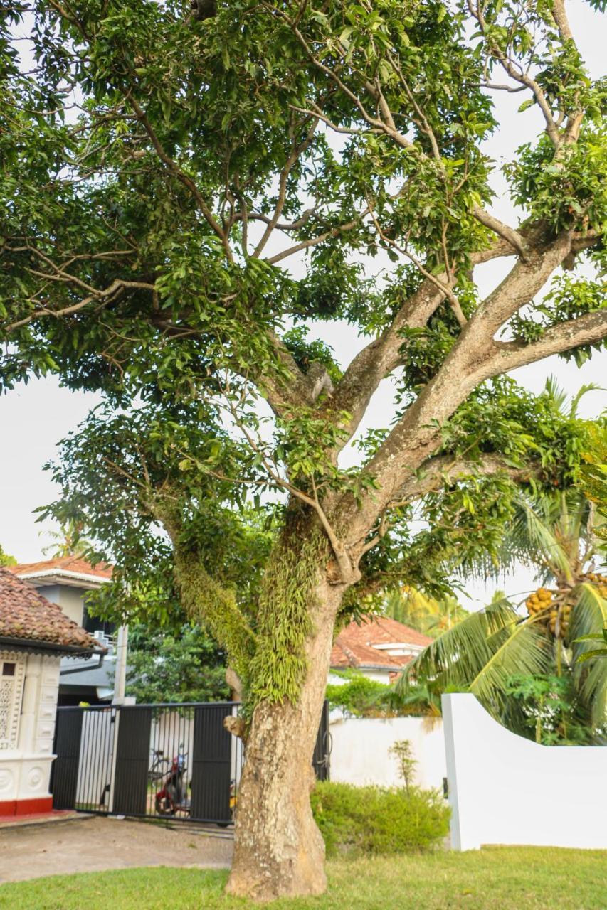 Villa Rosa Blanca Галле Экстерьер фото